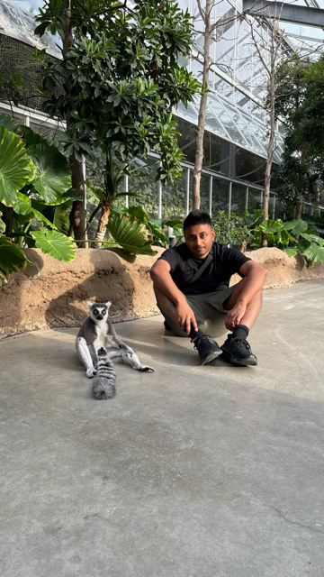 Braveen and Lemur