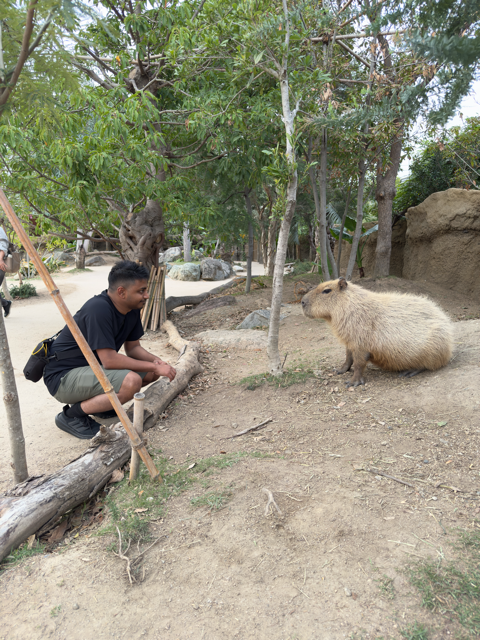 Capybara and Braveen